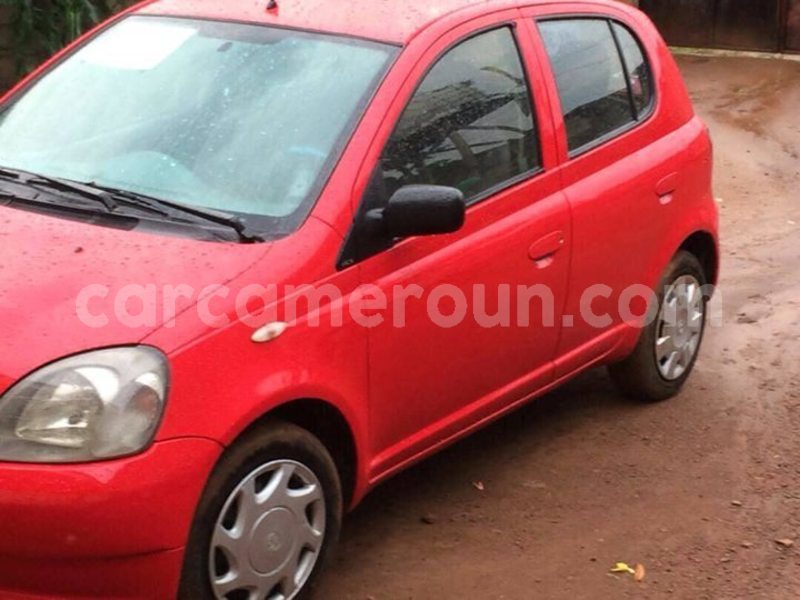 Big with watermark 46521174 1909558582446433 1975674274576334848 o