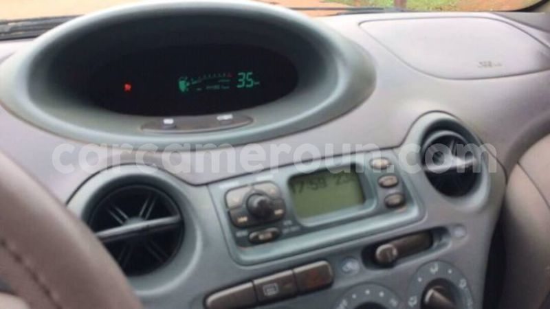 Big with watermark 46507284 1909558535779771 4315829923546660864 o