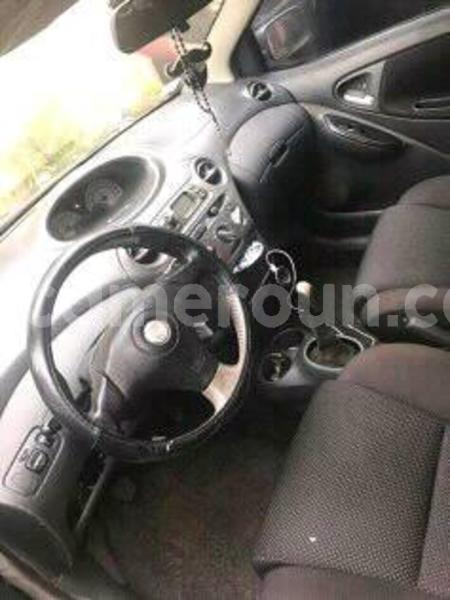 Big with watermark 46355540 1901698339899124 9123055666838110208 n