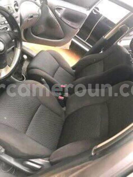 Big with watermark 46271401 1901698273232464 2396553092167368704 n