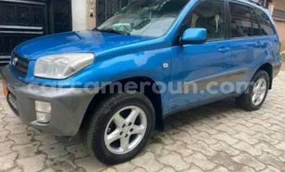 Sayi Na hannu Toyota RAV4 Sauran Mota in Douala a Ƙasar Kamaru
