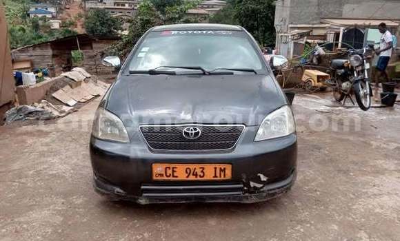 Sayi Na hannu Toyota Corolla Sauran Mota in Yaounde a Babban Kamaru Sayi Na hannu Toyota Corolla Sauran Mota in Yaounde a Babban Kamaru