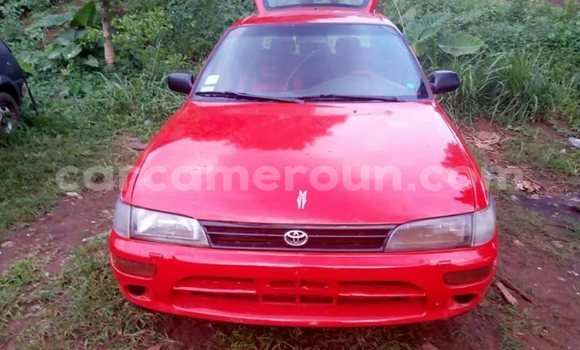 Sayi Imported Toyota Starlet Red Mota in Yaounde a Babban Kamaru Sayi Imported Toyota Starlet Red Mota in Yaounde a Babban Kamaru