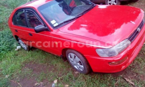 Sayi Imported Toyota Starlet Red Mota in Yaounde a Babban Kamaru Sayi Imported Toyota Starlet Red Mota in Yaounde a Babban Kamaru