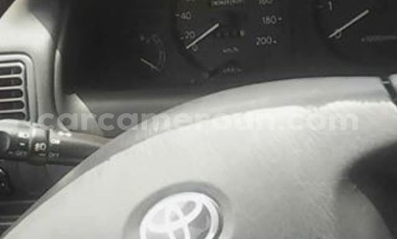 Buy Import Toyota Corolla Other Car in Yaounde in Central Cameroon Buy Import Toyota Corolla Other Car in Yaounde in Central Cameroon