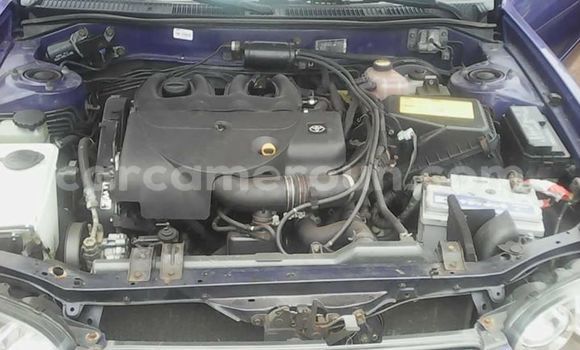 Buy Import Toyota Corolla Other Car in Yaounde in Central Cameroon Buy Import Toyota Corolla Other Car in Yaounde in Central Cameroon