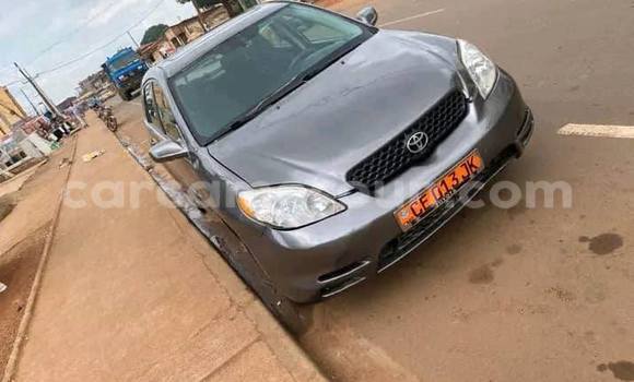 Sayi Na hannu Toyota Matrix Sauran Mota in Yaounde a Babban Kamaru