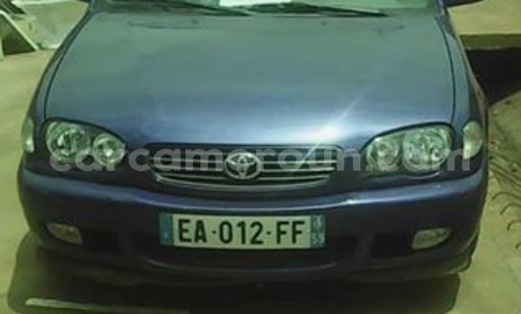 Buy Import Toyota Corolla Other Car in Yaounde in Central Cameroon Buy Import Toyota Corolla Other Car in Yaounde in Central Cameroon