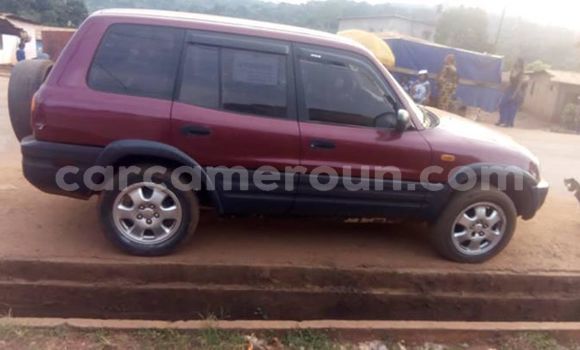 Buy Import Toyota RAV4 Red Car in Yaounde in Central Cameroon Buy Import Toyota RAV4 Red Car in Yaounde in Central Cameroon