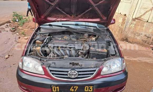 Acheter Occasion Voiture Toyota Avensis Rouge à Yaoundé, Central Cameroon Acheter Occasion Voiture Toyota Avensis Rouge à Yaoundé, Central Cameroon