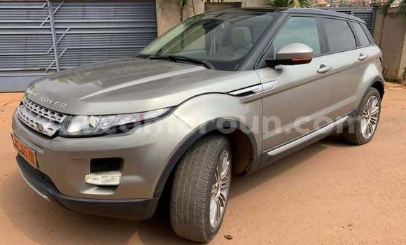 Sayi Na hannu Range Rover Evoque Azurfa Mota in Yaounde a Babban Kamaru