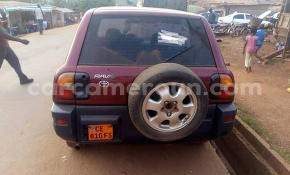 Buy Import Toyota RAV4 Red Car in Yaounde in Central Cameroon Buy Import Toyota RAV4 Red Car in Yaounde in Central Cameroon