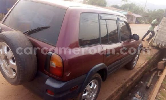 Buy Import Toyota RAV4 Red Car in Yaounde in Central Cameroon Buy Import Toyota RAV4 Red Car in Yaounde in Central Cameroon