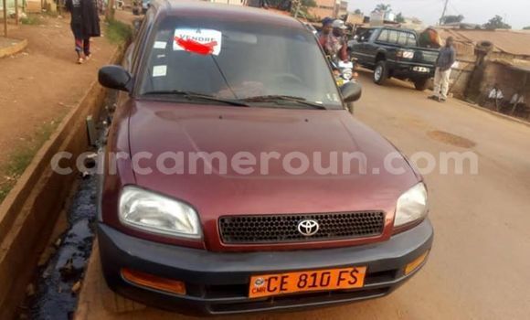 Buy Import Toyota RAV4 Red Car in Yaounde in Central Cameroon Buy Import Toyota RAV4 Red Car in Yaounde in Central Cameroon