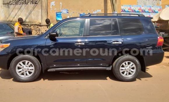 Buy Import Toyota Land Cruiser Black Car in Yaounde in Central Cameroon Buy Import Toyota Land Cruiser Black Car in Yaounde in Central Cameroon