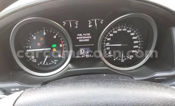 Buy Import Toyota Land Cruiser Black Car in Yaounde in Central Cameroon Buy Import Toyota Land Cruiser Black Car in Yaounde in Central Cameroon