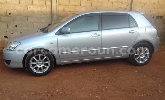 Buy Import Toyota Runx Silver Car in Yaounde in Central Cameroon Buy Import Toyota Runx Silver Car in Yaounde in Central Cameroon