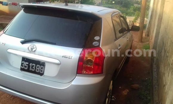 Buy Import Toyota Runx Silver Car in Yaounde in Central Cameroon Buy Import Toyota Runx Silver Car in Yaounde in Central Cameroon