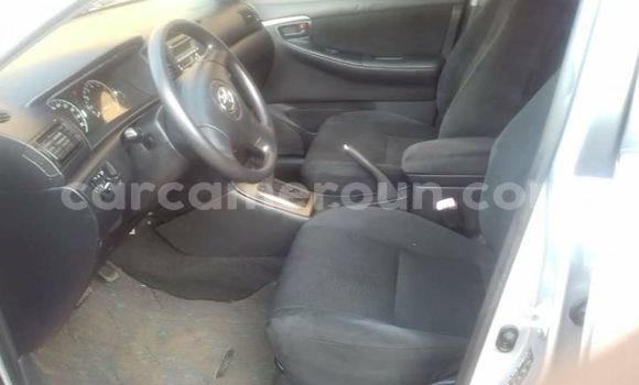 Buy Import Toyota Runx Silver Car in Yaounde in Central Cameroon Buy Import Toyota Runx Silver Car in Yaounde in Central Cameroon