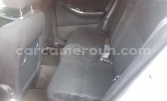 Buy Import Toyota Runx Silver Car in Yaounde in Central Cameroon Buy Import Toyota Runx Silver Car in Yaounde in Central Cameroon