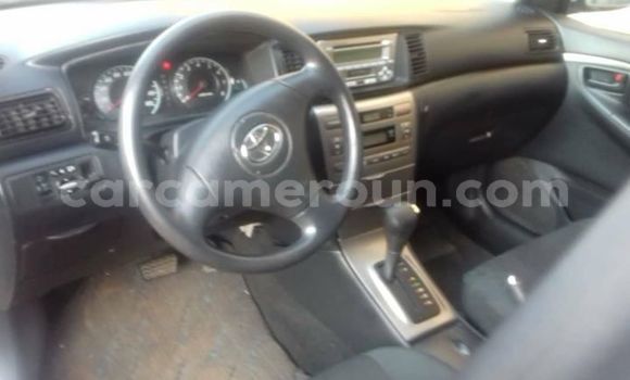 Buy Import Toyota Runx Silver Car in Yaounde in Central Cameroon Buy Import Toyota Runx Silver Car in Yaounde in Central Cameroon