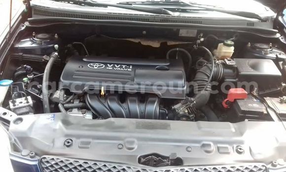 Buy Import Toyota Runx Silver Car in Yaounde in Central Cameroon Buy Import Toyota Runx Silver Car in Yaounde in Central Cameroon