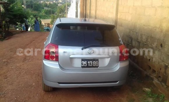 Buy Import Toyota Runx Silver Car in Yaounde in Central Cameroon Buy Import Toyota Runx Silver Car in Yaounde in Central Cameroon