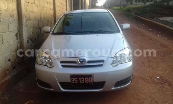 Buy Import Toyota Runx Silver Car in Yaounde in Central Cameroon Buy Import Toyota Runx Silver Car in Yaounde in Central Cameroon