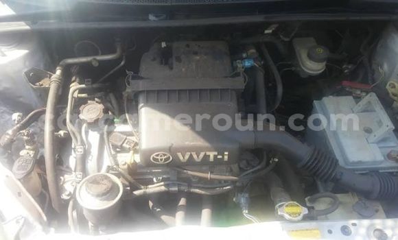 Buy Import Toyota Yaris Silver Car in Yaounde in Central Cameroon Buy Import Toyota Yaris Silver Car in Yaounde in Central Cameroon