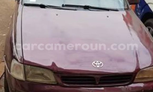 Buy Import Toyota Carina Red Car in Yaounde in Central Cameroon Buy Import Toyota Carina Red Car in Yaounde in Central Cameroon