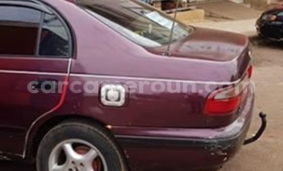 Buy Import Toyota Carina Red Car in Yaounde in Central Cameroon Buy Import Toyota Carina Red Car in Yaounde in Central Cameroon