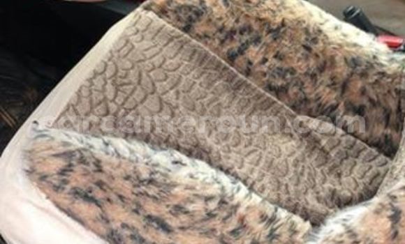 Buy Import Toyota Vitz Black Car in Yaounde in Central Cameroon Buy Import Toyota Vitz Black Car in Yaounde in Central Cameroon