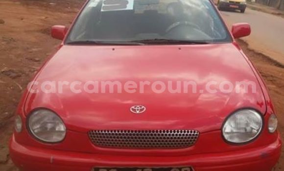 Buy Import Toyota Corolla Red Car in Yaounde in Central Cameroon Buy Import Toyota Corolla Red Car in Yaounde in Central Cameroon