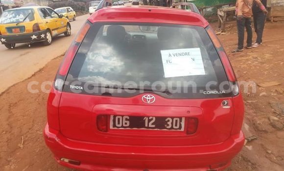 Buy Import Toyota Corolla Red Car in Yaounde in Central Cameroon Buy Import Toyota Corolla Red Car in Yaounde in Central Cameroon