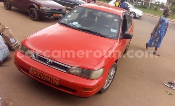 Buy Import Toyota Corolla Other Car in Yaounde in Central Cameroon Buy Import Toyota Corolla Other Car in Yaounde in Central Cameroon