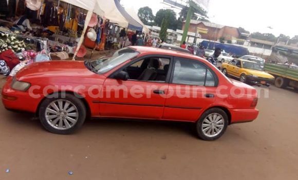 Buy Import Toyota Corolla Other Car in Yaounde in Central Cameroon Buy Import Toyota Corolla Other Car in Yaounde in Central Cameroon