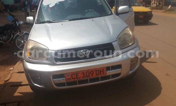 Buy Import Toyota RAV4 Silver Car in Yaounde in Central Cameroon Buy Import Toyota RAV4 Silver Car in Yaounde in Central Cameroon