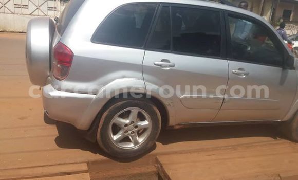 Buy Import Toyota RAV4 Silver Car in Yaounde in Central Cameroon Buy Import Toyota RAV4 Silver Car in Yaounde in Central Cameroon