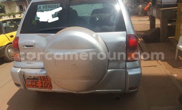 Buy Import Toyota RAV4 Silver Car in Yaounde in Central Cameroon Buy Import Toyota RAV4 Silver Car in Yaounde in Central Cameroon