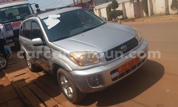 Buy Import Toyota RAV4 Silver Car in Yaounde in Central Cameroon Buy Import Toyota RAV4 Silver Car in Yaounde in Central Cameroon