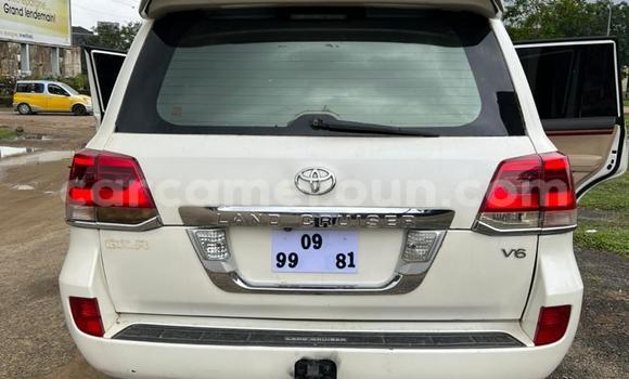 Buy Used Toyota Land Cruiser White Car in Douala in Littoral Cameroon