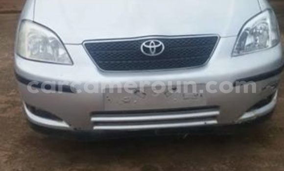 Buy Import Toyota Corolla Silver Car in Yaounde in Central Cameroon Buy Import Toyota Corolla Silver Car in Yaounde in Central Cameroon