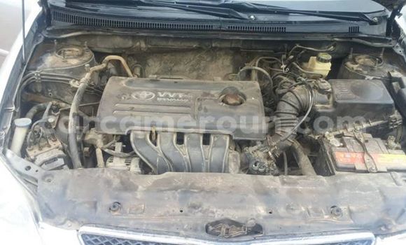 Buy Import Toyota Corolla Silver Car in Yaounde in Central Cameroon Buy Import Toyota Corolla Silver Car in Yaounde in Central Cameroon