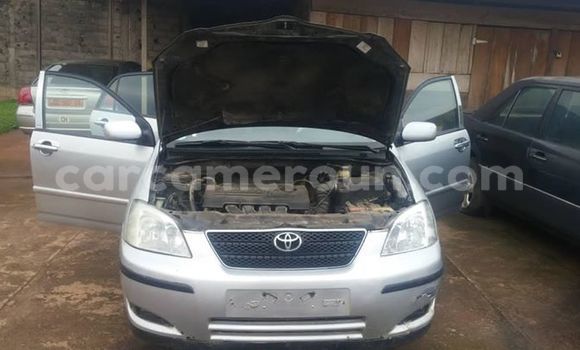 Buy Import Toyota Corolla Silver Car in Yaounde in Central Cameroon Buy Import Toyota Corolla Silver Car in Yaounde in Central Cameroon