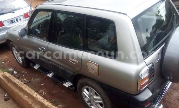 Buy Import Toyota RAV4 Silver Car in Yaounde in Central Cameroon Buy Import Toyota RAV4 Silver Car in Yaounde in Central Cameroon