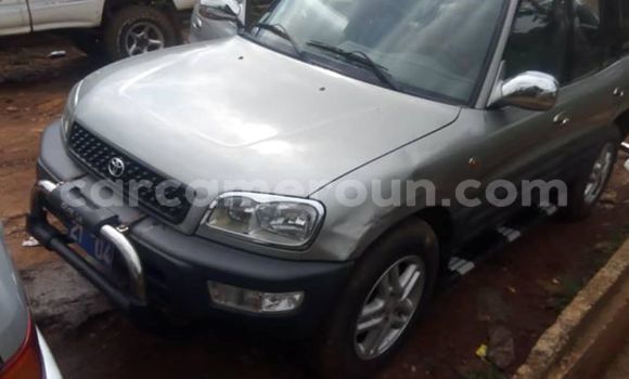 Buy Import Toyota RAV4 Silver Car in Yaounde in Central Cameroon Buy Import Toyota RAV4 Silver Car in Yaounde in Central Cameroon