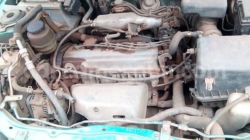 Big with watermark 46781426 1844399422325275 8188759697088577536 o