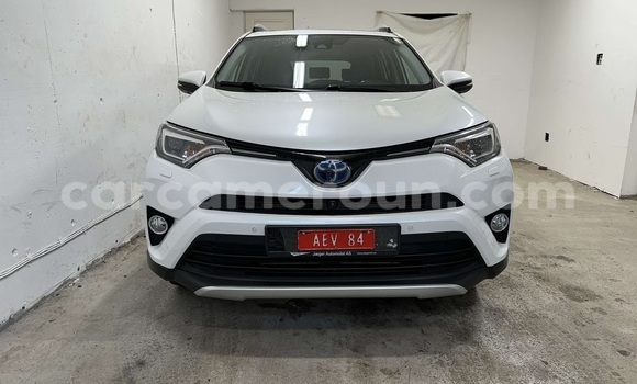 Buy Used Toyota RAV4 White Car in Douala in Littoral Cameroon Buy Used Toyota RAV4 White Car in Douala in Littoral Cameroon