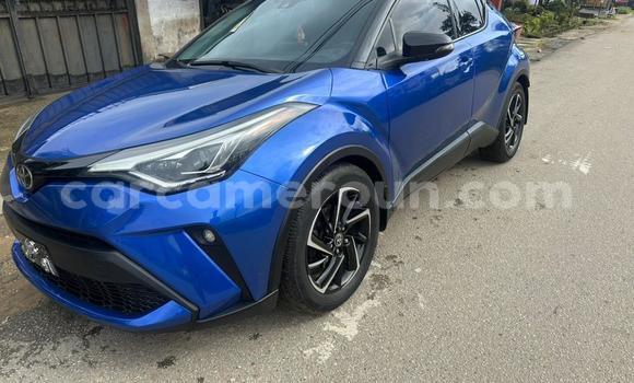 Buy Import Toyota C-HR Blue Car in Douala in Littoral Cameroon