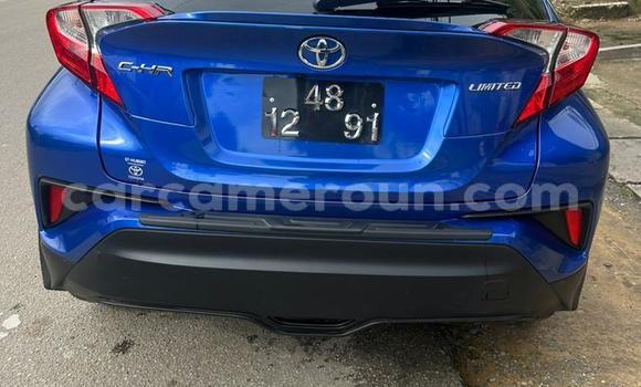 Sayi Imported Toyota C-HR Blue Mota in Douala a Ƙasar Kamaru Sayi Imported Toyota C-HR Blue Mota in Douala a Ƙasar Kamaru